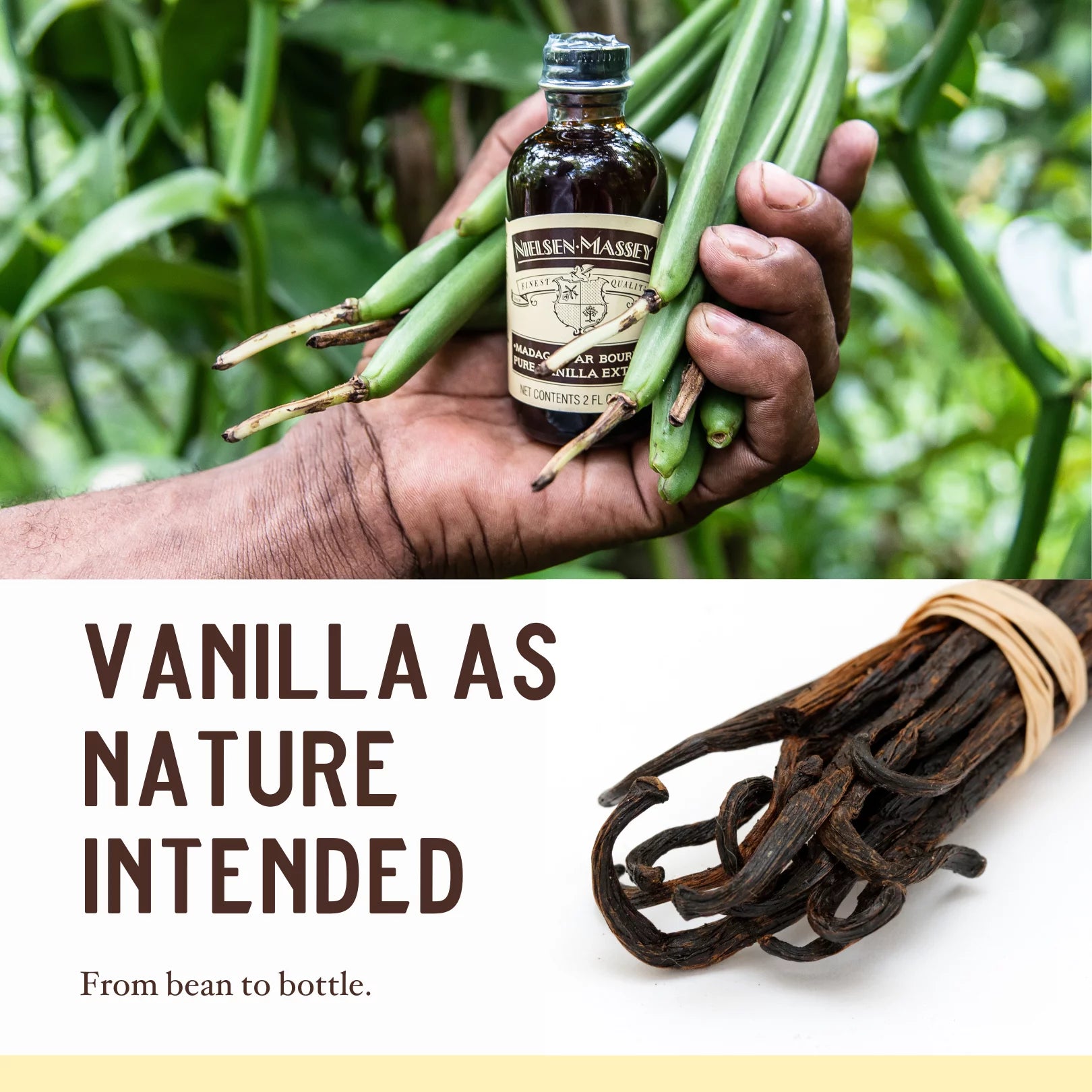 Madagascar Bourbon Pure Vanilla Extract, 32 Oz